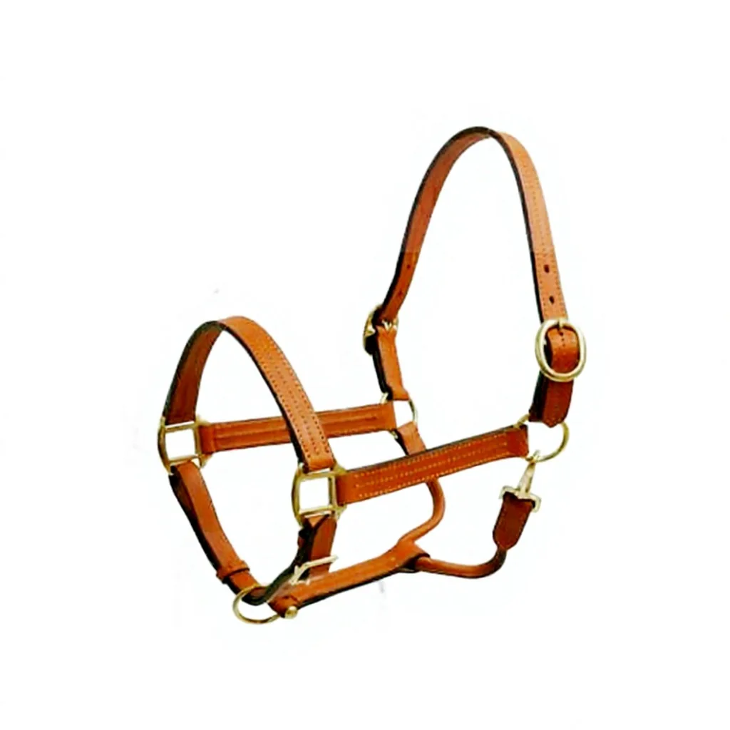 Custom Genuine Leather Horse Halter Triple Ply Equestrian Headcollar with Solid Brass Hardware — RJ-32524565, product image 3