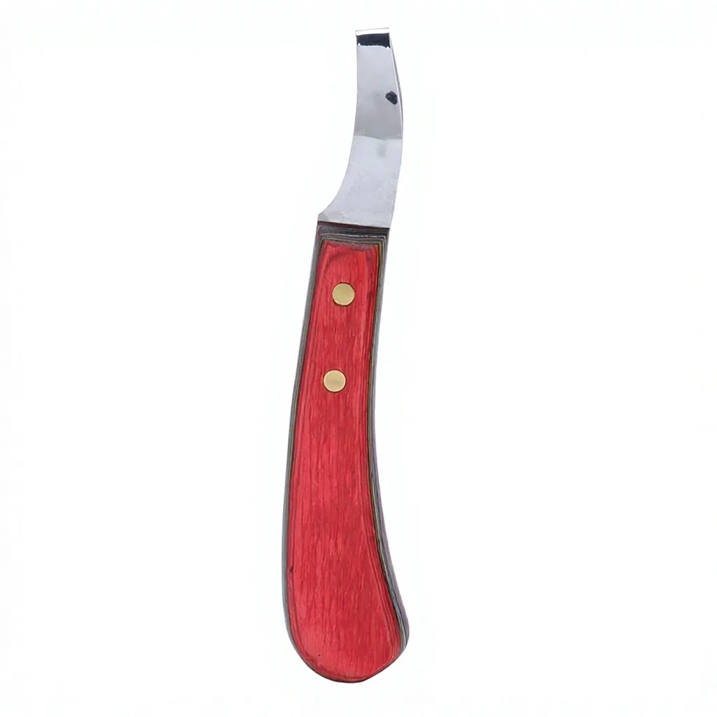Stainless Steel Customized Professional Team Farrier Hoof Pick Wooden Handle — RJ-87654352, product image 3