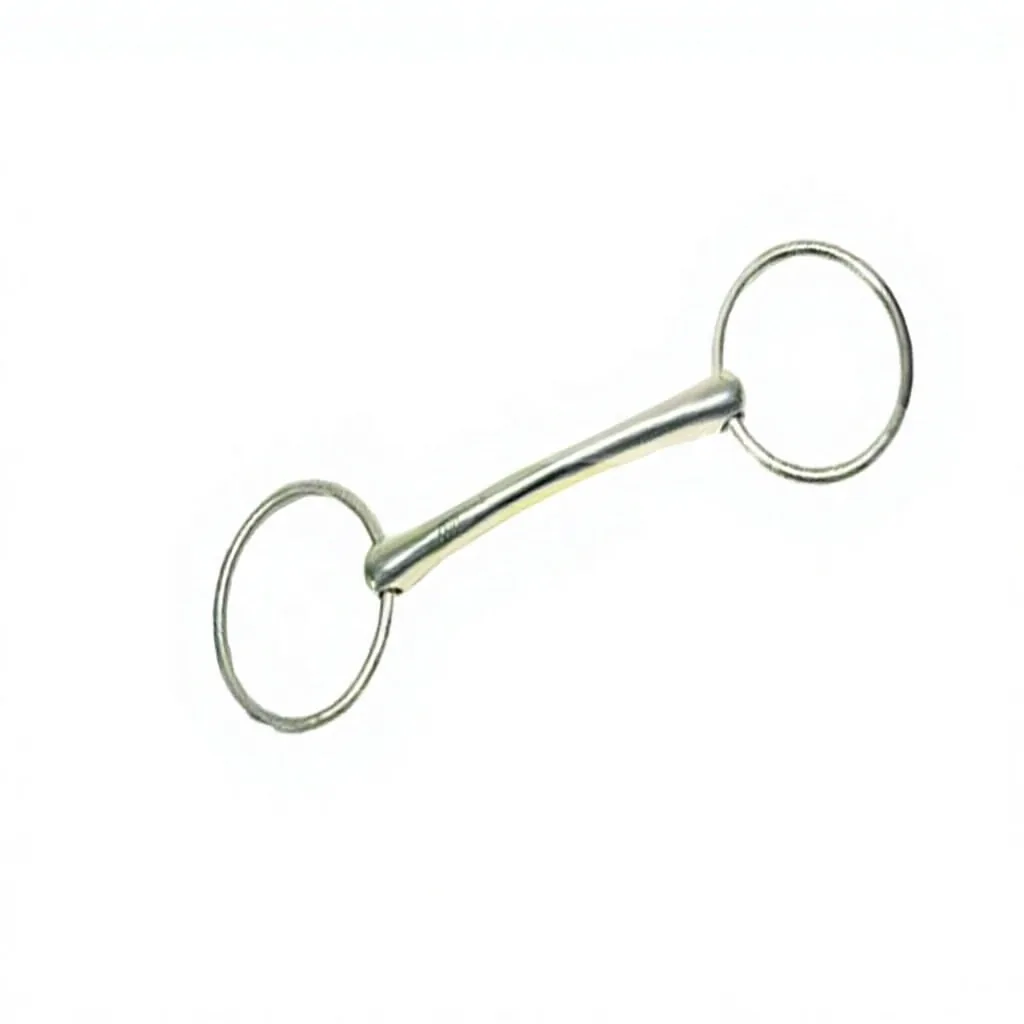 Custom Logo Stainless Steel Loose Ring Horse Snaffle Bit with Full Melon Mouth — RJ-0501, product image 5