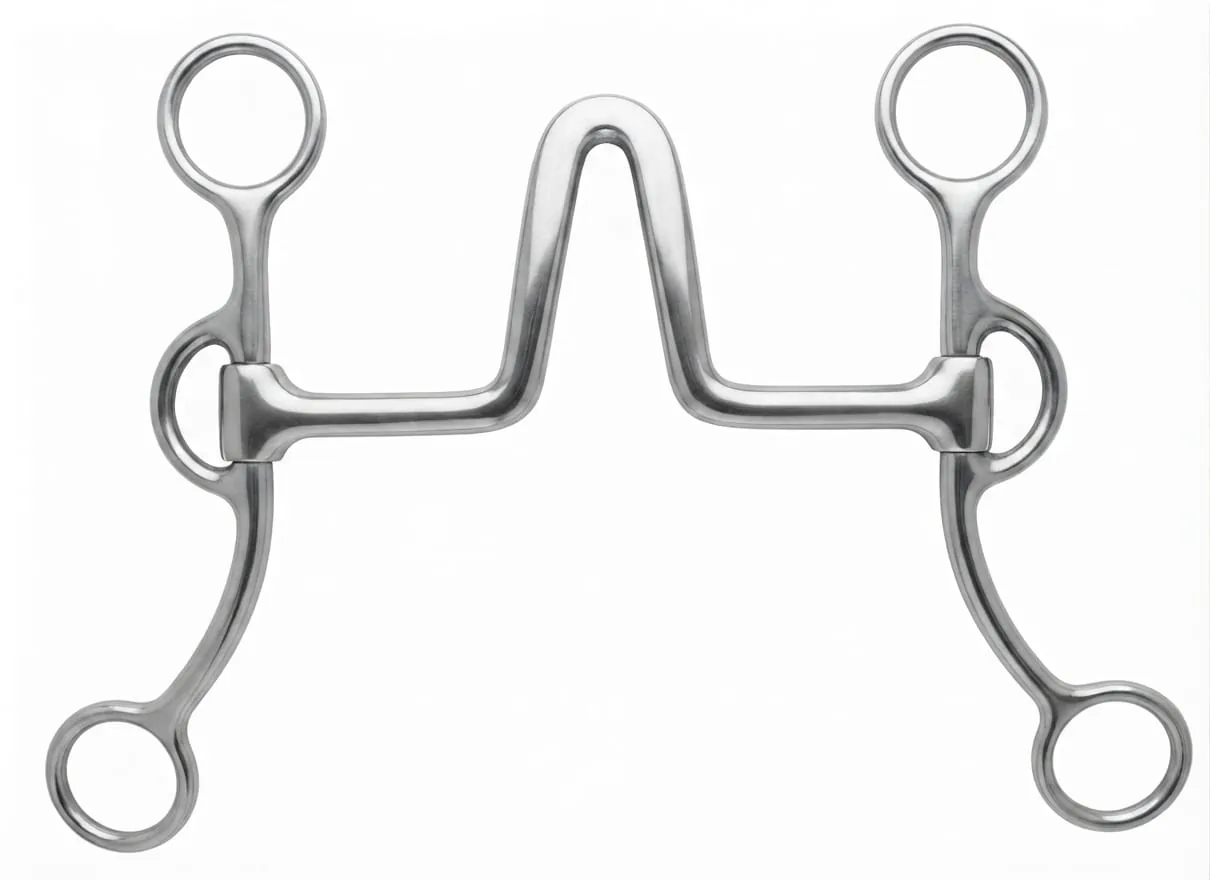 Western Racing Stainless Steel Horse Bit Snaffle Silver Equestrian Riding Training — rj-4w655, product image 2