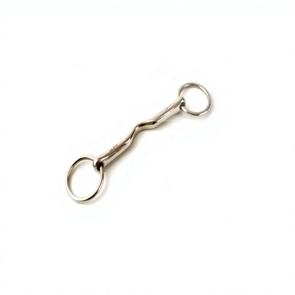 Custom Logo Stainless Steel Loose Ring Horse Snaffle Bit with Full Melon Mouth — RJ-0501, product image 6