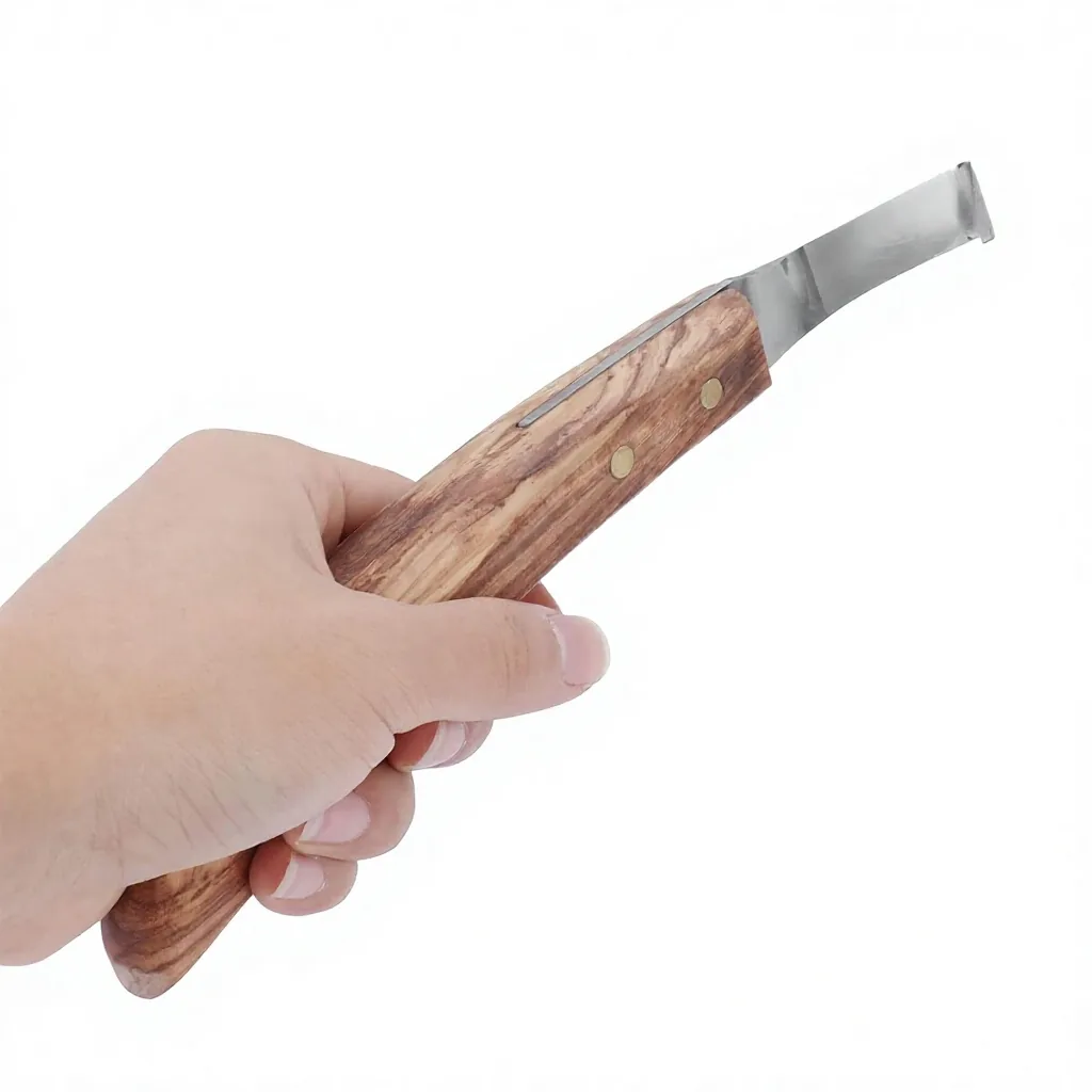 Stainless Steel Customized Professional Team Hoof Pick Curved Horse Trimming Tool Wooden Handle Veterinary Equipment for Equine Hoof Care — RJ-087543, product image 2