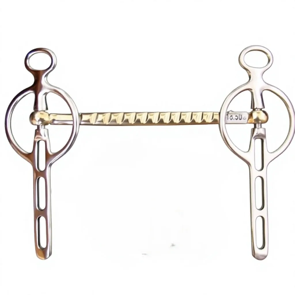 Stainless Steel Horse Bit with Twist Mouth and Chain Link Design for Carriage Driving German Silver Mouthpiece — RJ-0547, product image 3