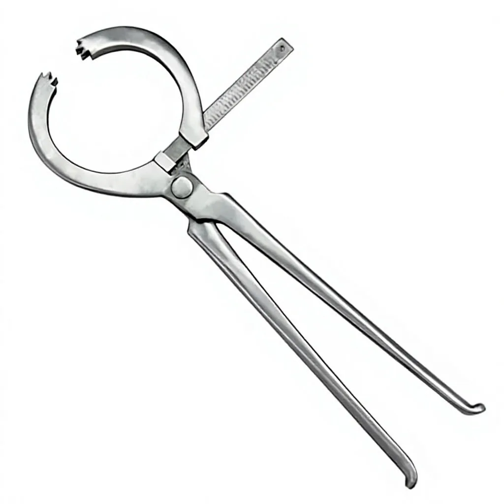 Stainless Steel Adjustable Lightweight Horse Hoof Pick for Farrier Measuring and Large Animal Care