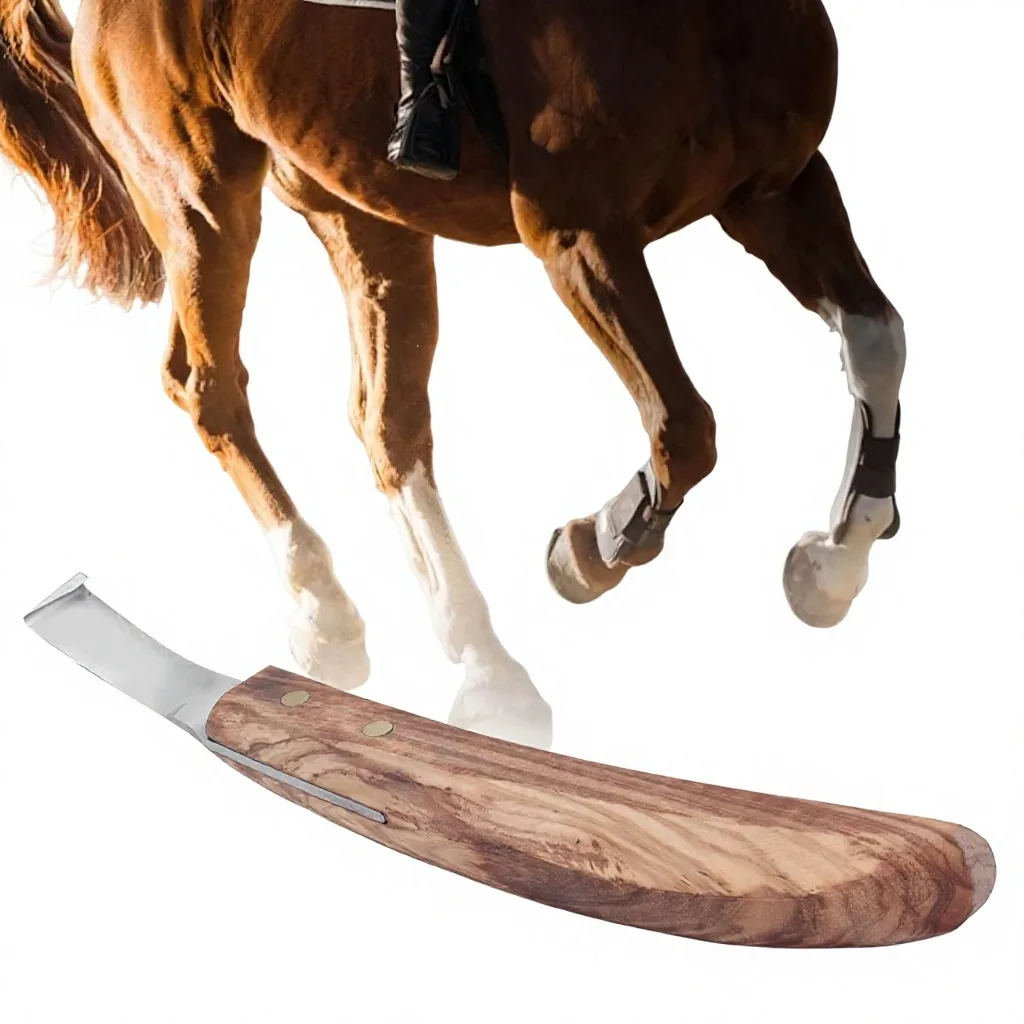 Stainless Steel Customized Professional Team Hoof Pick Curved Horse Trimming Tool Wooden Handle Veterinary Equipment for Equine Hoof Care — RJ-087543, product image 4