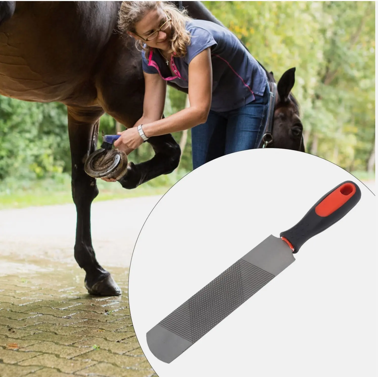 Lightweight Stainless Steel Horse Farrier Hoof Pick Double Sided Soft Grip Handle Professional Team Veterinary Care Tool — rj-8775764, product image 4