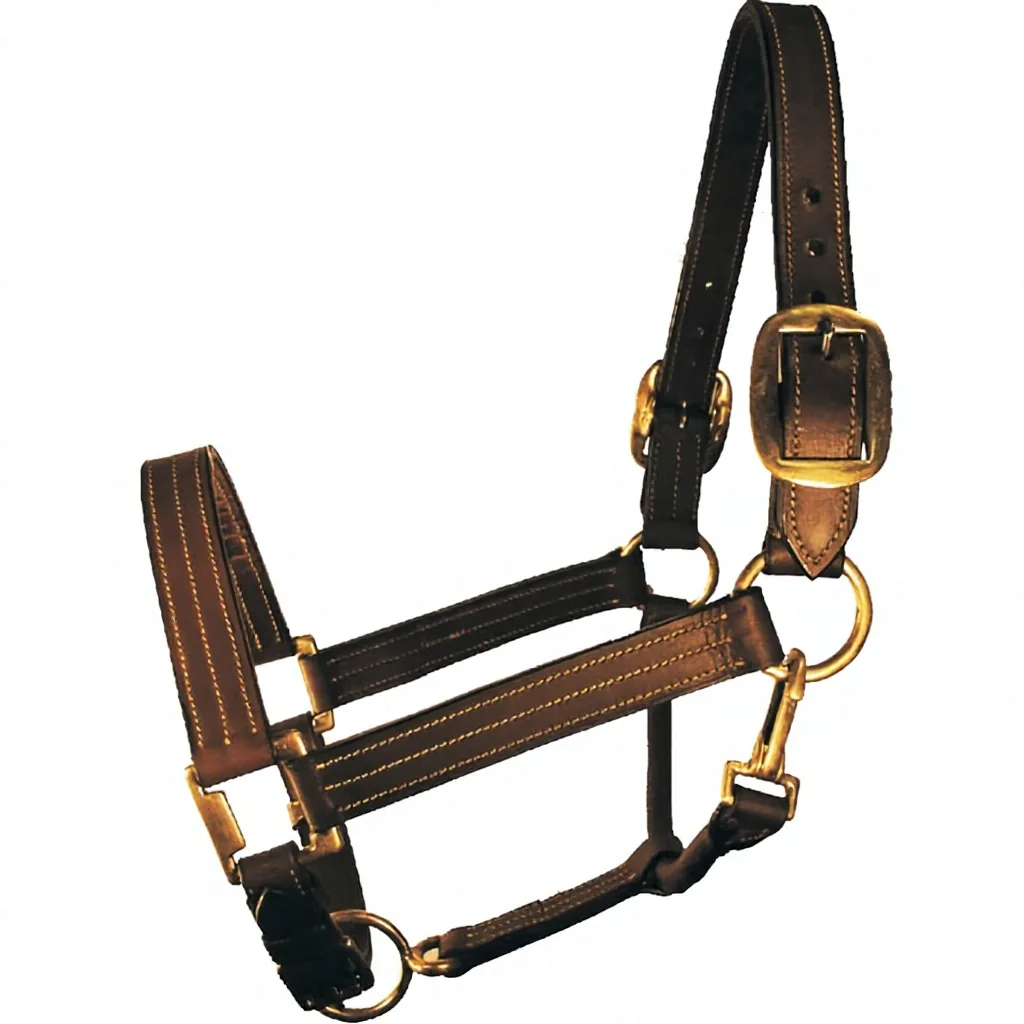 Green Padded Leather Rope Halter Adjustable PP Nylon with Metal Hardware — RJ-9775, product image 5