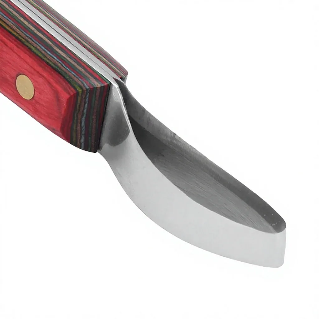 Stainless Steel Customized Professional Team Farrier Hoof Pick Wooden Handle — RJ-87654352, product image 6