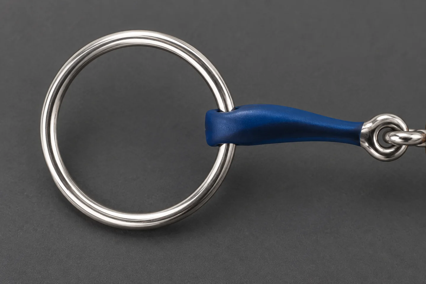 Close view of a loose ring passing through the end of a blue horse-bit mouthpiece
