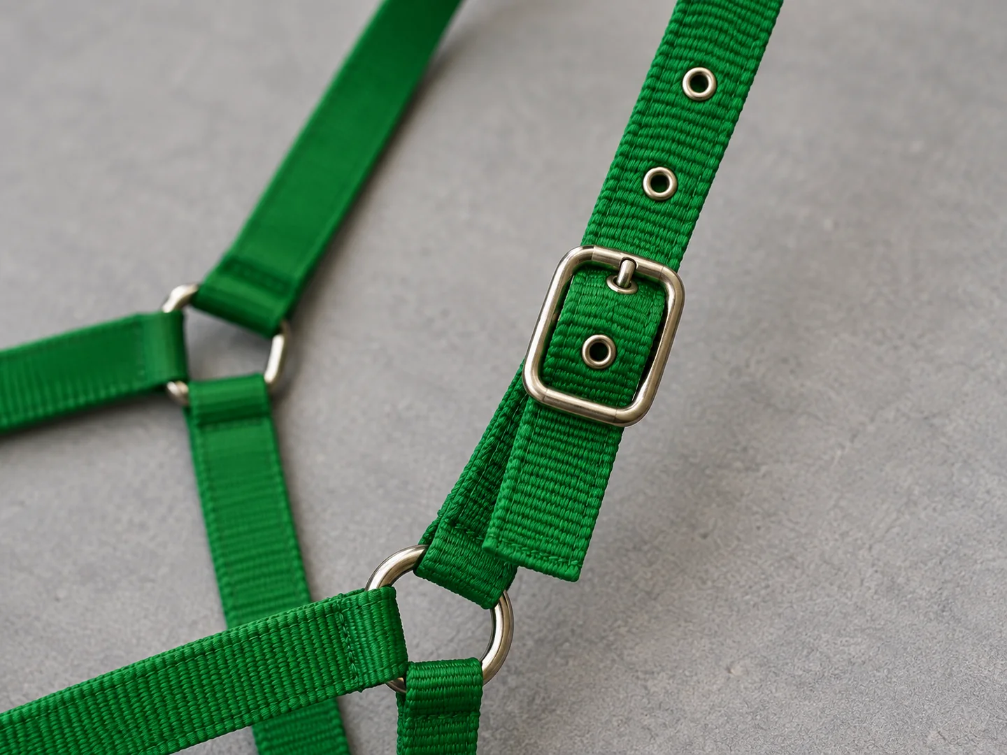 Crown strap buckle and adjustment holes on a green horse halter