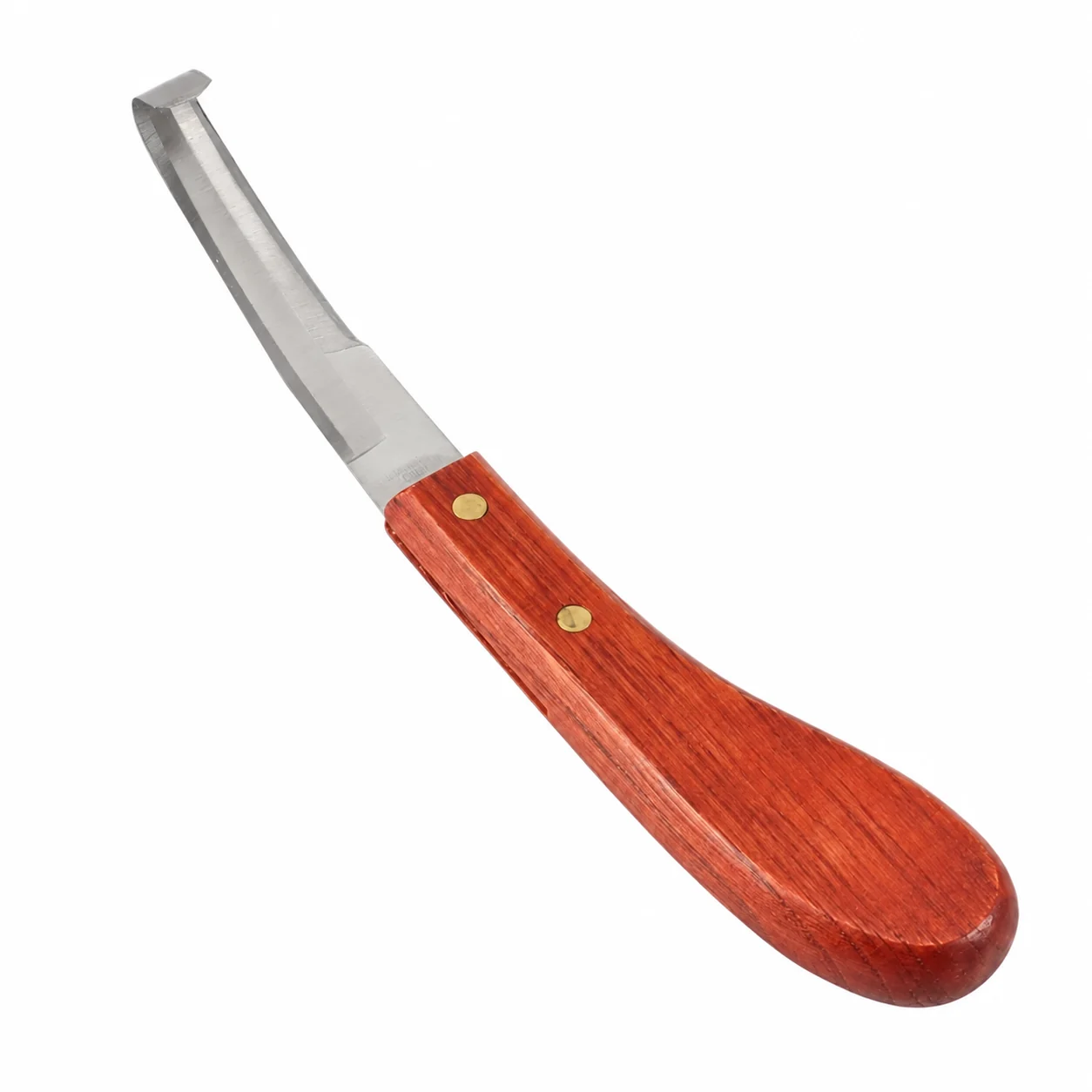 Customized Double Sided Horse Hoof Pick Stainless Steel Lightweight Professional Team Cutter Wooden Handle Farrier Tool — RJ-87634567, product image 3